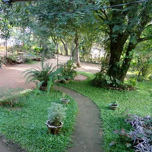 Sigiri Neo , Sigiriya Sri Lanka